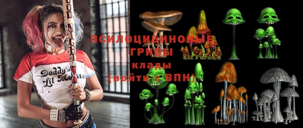 стафф Аркадак
