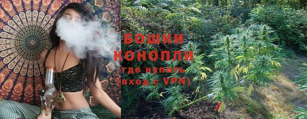 стафф Аркадак