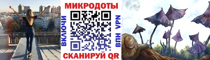 дарк нет клад  купить закладку  гидра ТОР  Красный Кут  Галлюциногенные грибы Magic Shrooms 